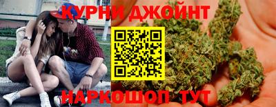 сатива Краснознаменск