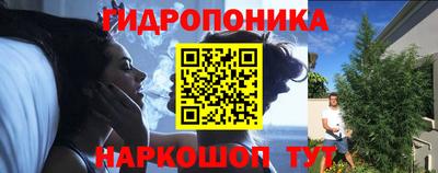сатива Краснознаменск