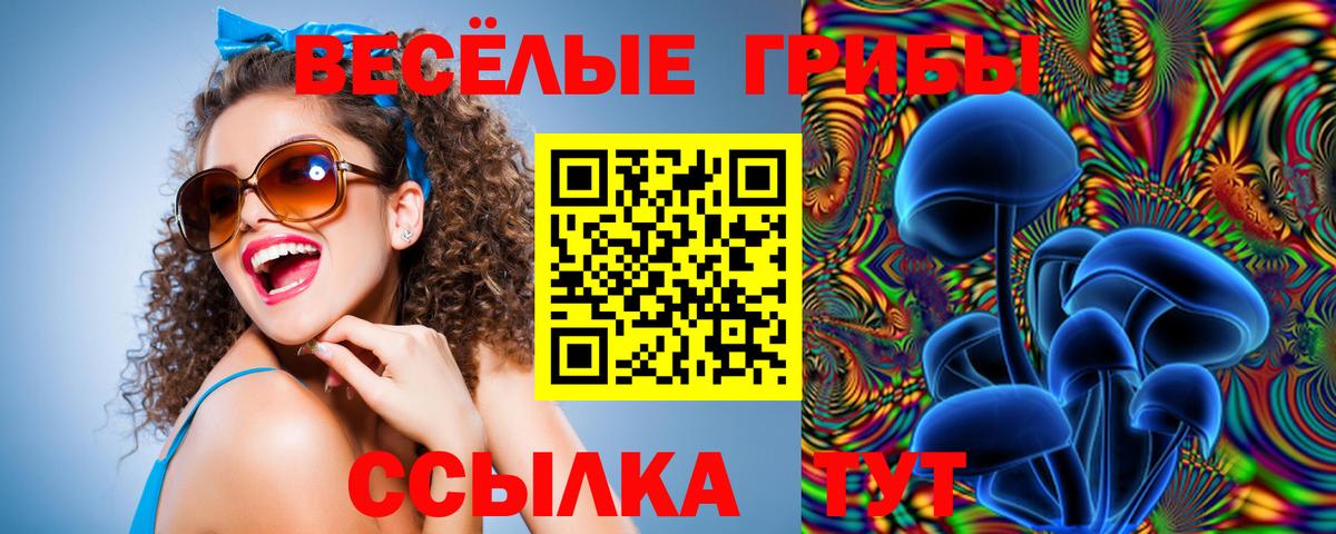 Галлюциногенные грибы GOLDEN TEACHER Камышлов