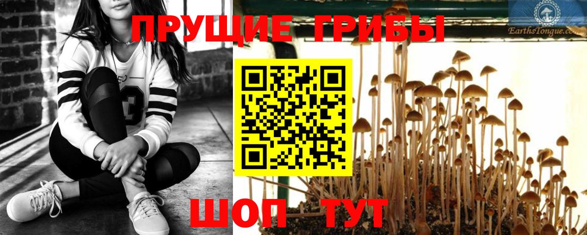 Галлюциногенные грибы ЛСД  Вход с VPN  Камышлов 