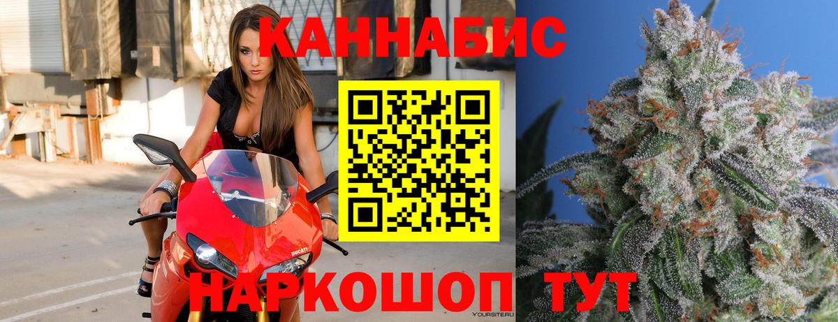 Камышлов  Бошки марихуана конопля  Марихуана марихуана  Вход с VPN  Бошки Шишки план 